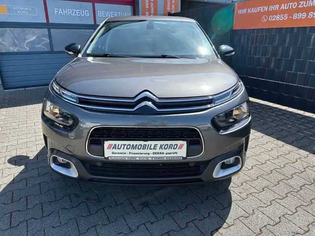 Citroen C4 Cactus Shine/Kamera/Navi/AHK/Zahnriemen/NEU/