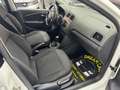 Volkswagen Polo Polo V 2014 5p 1.4 tdi bm Comfortline 90cv dsg Blanc - thumbnail 18