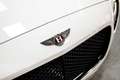 Bentley Continental GT Convertible V8 Blanc - thumbnail 16