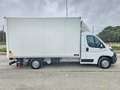 Fiat Ducato 35 2.3 MJT 160CV CASSA 8 BANCALI E SPONDA NUOVA Bianco - thumbnail 4