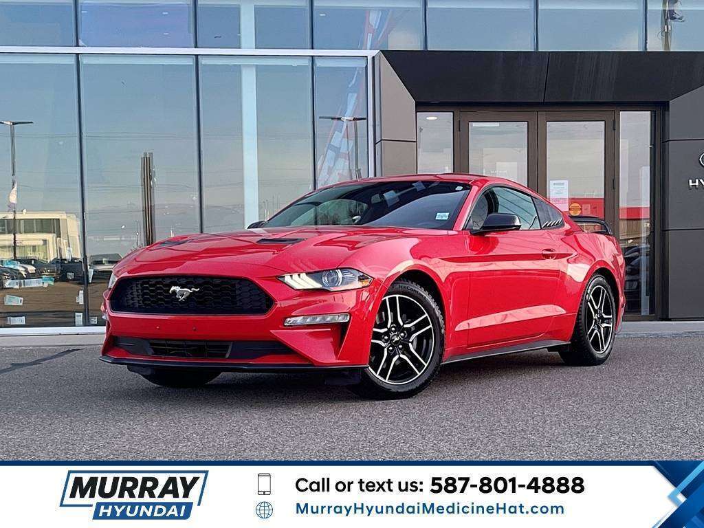  2019 Ford Mustang EcoBoost Coupe RWD   