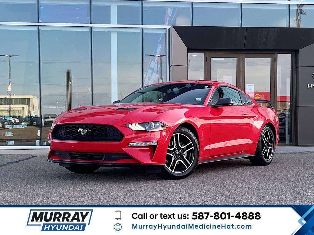 Race Red 2019 Ford Mustang Coupe Rear-Wheel Drive Automatic