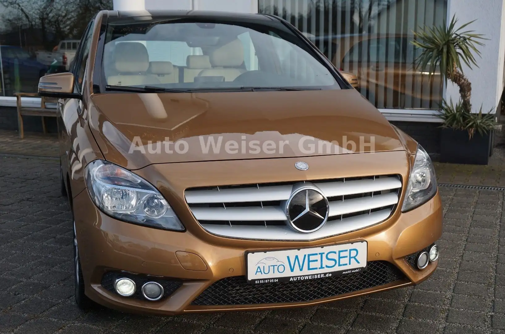 Mercedes-Benz B 200 Panorama PDC Kamera - 2