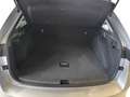Skoda Scala Tour 1.0TSI 115PS Kamera Matrix Voll LED Tempomat Silber - thumbnail 17