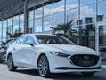 Mazda 3 2.5i G140 CENTER-LINE Blanco - thumbnail 7
