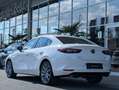 Mazda 3 2.5i G140 CENTER-LINE Blanco - thumbnail 4