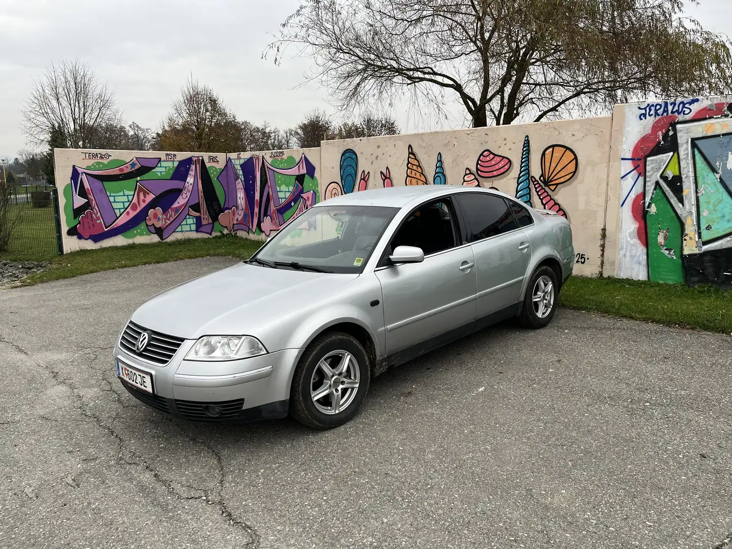 Volkswagen Passat 1,9 TDI PD - 1