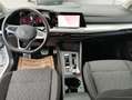 Volkswagen Golf Variant Life mHeV DSG Weiß - thumbnail 12