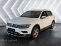 Volkswagen Tiguan 2.0 TDI Highline 4Motion/Alc./Kamera/AHK Blanc - thumbnail 1