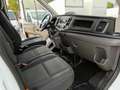 Ford Transit FT 350 L3 Chasis Heavy Duty Trend 130 Blanco - thumbnail 18