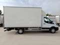 Ford Transit FT 350 L3 Chasis Heavy Duty Trend 130 Blanco - thumbnail 5