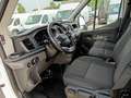 Ford Transit FT 350 L3 Chasis Heavy Duty Trend 130 Blanco - thumbnail 12