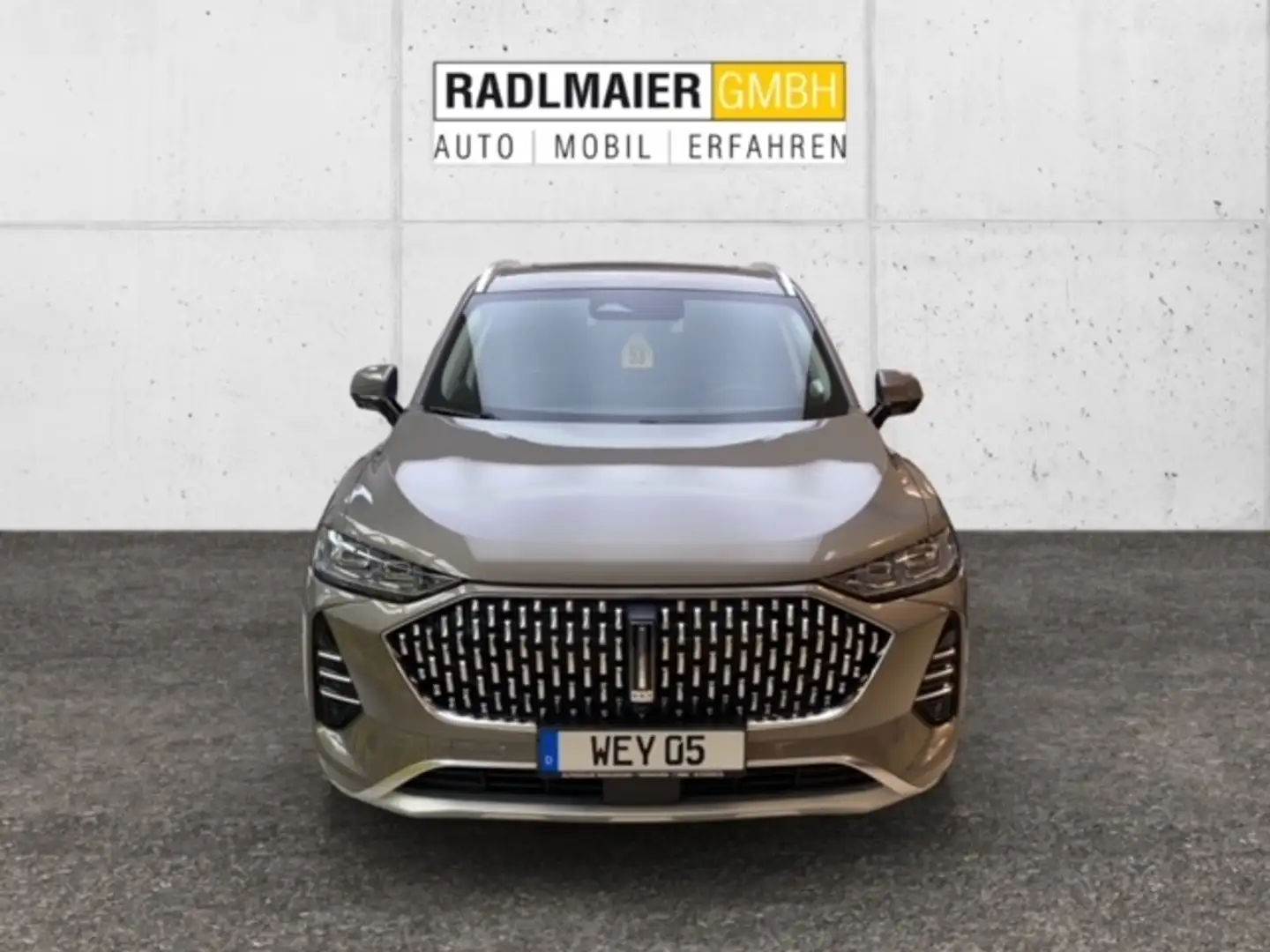 GWM WEY05 Premium Gris - 1