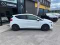 Ford Fiesta 5p 1.1 Plus 70cv NEOPATENTATI SENS POST Bianco - thumbnail 13