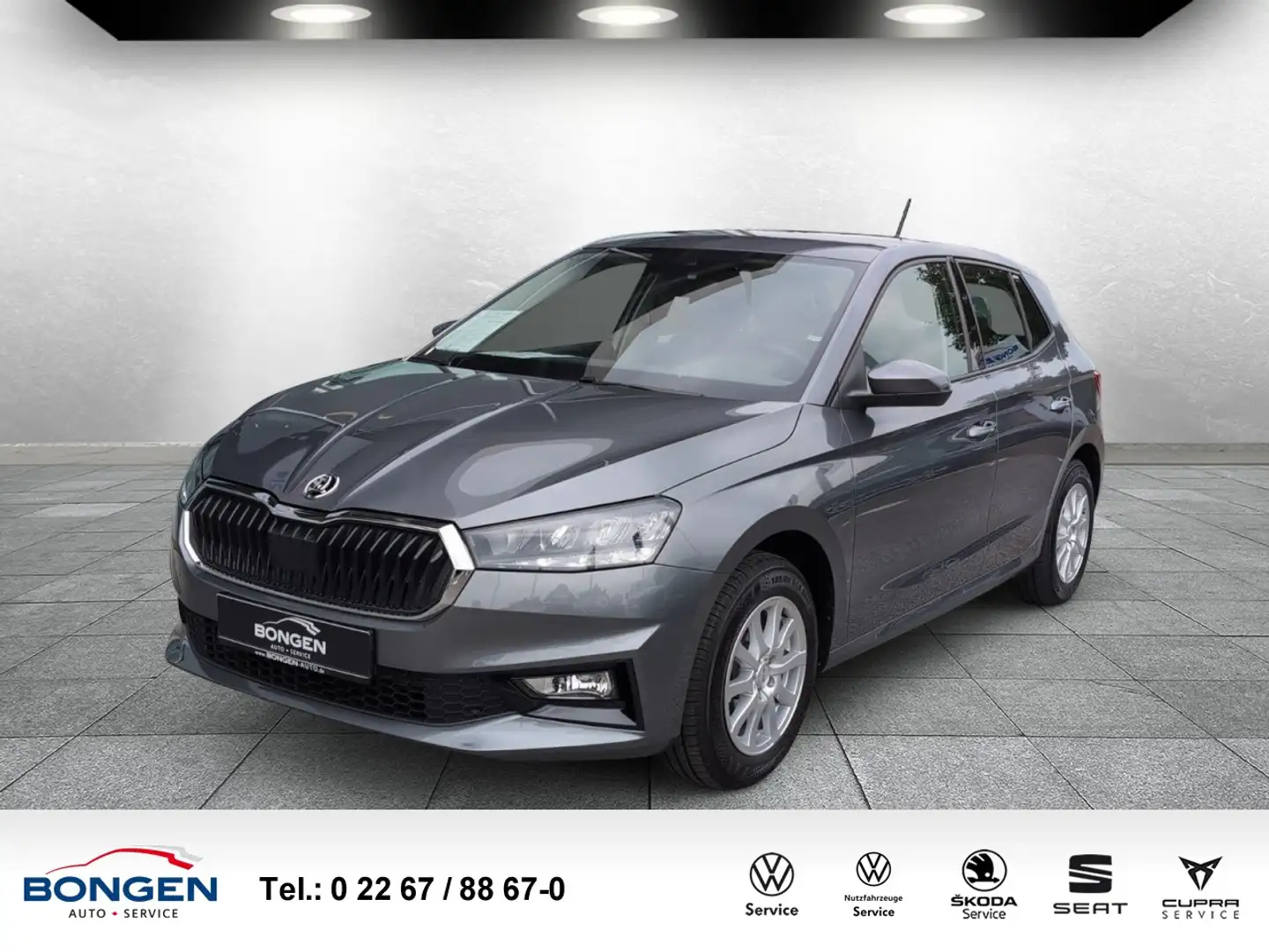 Skoda Fabia 1.0 MPI Selection Bluetooth PDC Sitzhzg. Klima Grau - 1