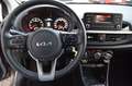 Kia Picanto Edition 7  !!   8000 KM !! Gris - thumbnail 12