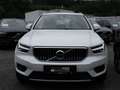 Volvo XC40 T4 Inscription Expression Recharge LED Weiß - thumbnail 3