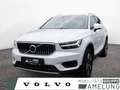 Volvo XC40 T4 Inscription Expression Recharge LED Weiß - thumbnail 1