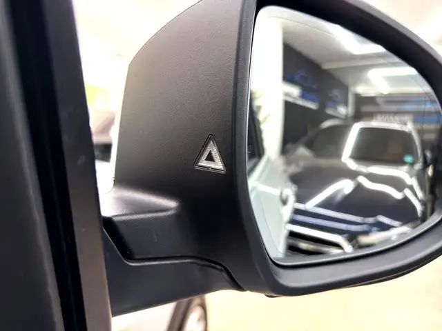 BMW X4 view 18