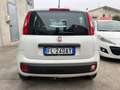 Fiat Panda 1.2 Van 4 posti +IVA autocarro Wit - thumbnail 4