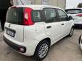 Fiat Panda 1.2 Van 4 posti +IVA autocarro Blanco - thumbnail 3