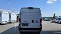 Fiat Ducato MAXI 35 L3H2 160 Weiß - thumbnail 6