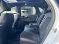 Ford Kuga 2.5 PHEV ST-Line X | FULL OPTION | Pano dak | 19 i Wit - thumbnail 19