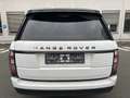 Land Rover Range Rover Vollausstattung | Motor klackert! Biały - thumbnail 6
