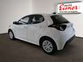 Mazda 2 HYBRID WD PRIME-LINE Preishit Gris - thumbnail 11