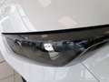 Mazda 2 HYBRID WD PRIME-LINE Preishit Gris - thumbnail 4