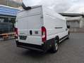 Fiat Ducato 35 L4H2 180 Maxi 180 Voll-LED AHK 3,5t möglich Weiß - thumbnail 8
