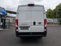 Fiat Ducato 35 L4H2 180 Maxi 180 Voll-LED AHK 3,5t möglich Weiß - thumbnail 7