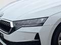 Skoda Octavia Combi 85 kW 1.5 TSI mHEV Selection Navi+WinterPlus Weiß - thumbnail 5