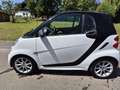 smart forTwo smart fortwo coupe coupe softouch passion Weiß - thumbnail 4