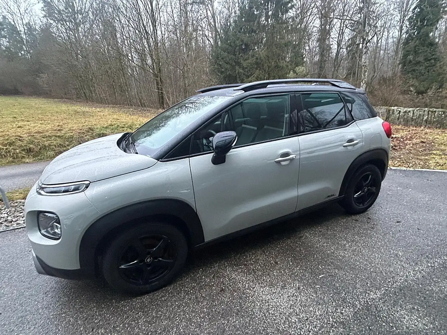 Citroen C3 Aircross BlueHDi 100 S&S 6-Gang-Manuell Shine Beige - 2