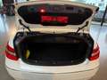 Mercedes-Benz E 250 CDI DPF Cabrio BlueEFFICIENCY Automatik Avantgarde Wit - thumbnail 12