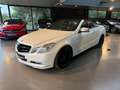 Mercedes-Benz E 250 CDI DPF Cabrio BlueEFFICIENCY Automatik Avantgarde Wit - thumbnail 3