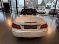 Mercedes-Benz E 250 CDI DPF Cabrio BlueEFFICIENCY Automatik Avantgarde Wit - thumbnail 6