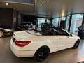 Mercedes-Benz E 250 CDI DPF Cabrio BlueEFFICIENCY Automatik Avantgarde Wit - thumbnail 7