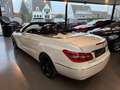 Mercedes-Benz E 250 CDI DPF Cabrio BlueEFFICIENCY Automatik Avantgarde Wit - thumbnail 5