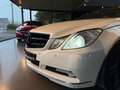 Mercedes-Benz E 250 CDI DPF Cabrio BlueEFFICIENCY Automatik Avantgarde Wit - thumbnail 27