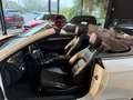 Mercedes-Benz E 250 CDI DPF Cabrio BlueEFFICIENCY Automatik Avantgarde Wit - thumbnail 28