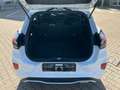 Ford Puma ST-Linie 1.0 EcoBoost *LED Navi ParkAssist* Weiß - thumbnail 7
