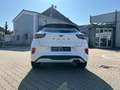 Ford Puma ST-Linie 1.0 EcoBoost *LED Navi ParkAssist* Weiß - thumbnail 3