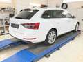 Skoda Superb Combi 2.0 TDI DSG 4x4 STYLE BEAM+ACC+AHK Weiß - thumbnail 3