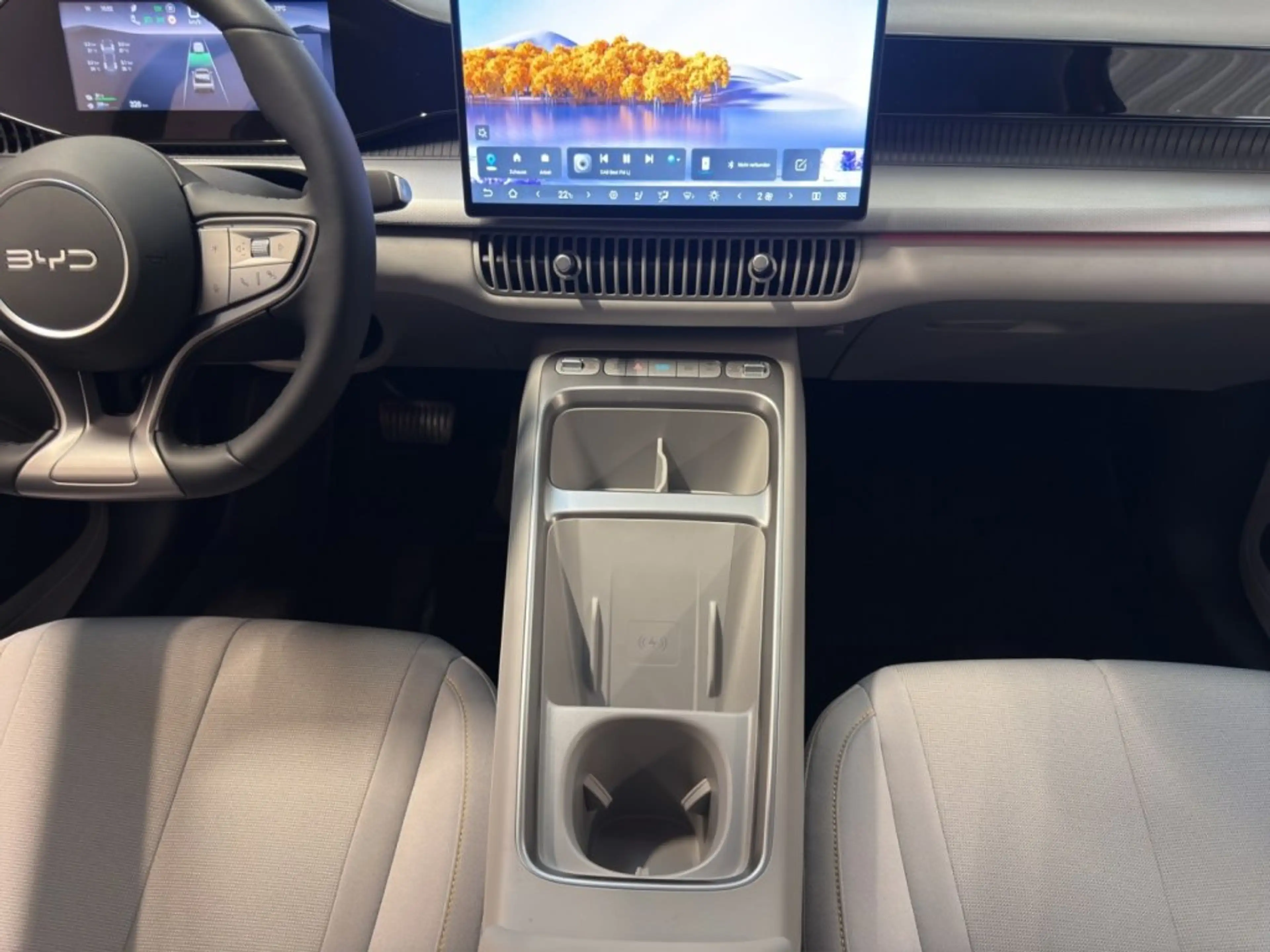 BYD Dolphin G DM-i Boost — photo 10