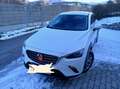 Mazda CX-3 CX-3 G121 Revolution Revolution - thumbnail 3