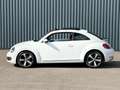 Volkswagen Beetle 1.6 tdi 105 ch Fender Edition Blanc - thumbnail 3