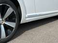 Volkswagen Beetle 1.6 tdi 105 ch Fender Edition Blanc - thumbnail 24