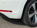 Volkswagen Beetle 1.6 tdi 105 ch Fender Edition Blanc - thumbnail 14